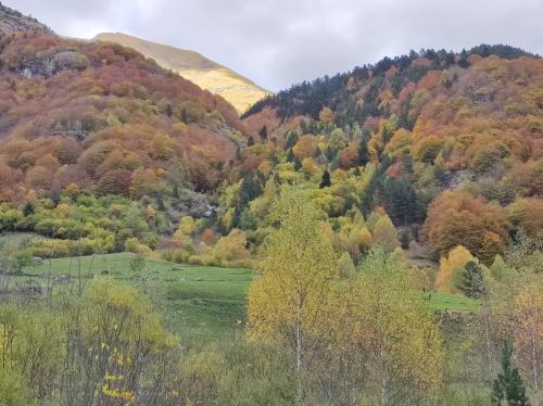 #15#l'automne flamboyant