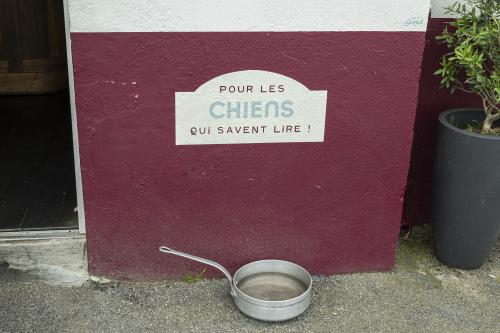 #16#vacances canines