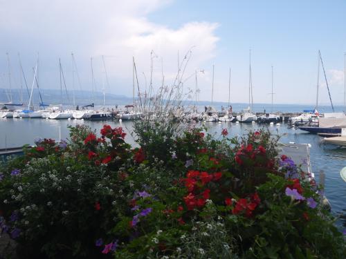 #19#fleurs et voiliers sur le lac léman