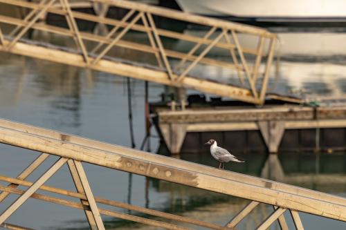 #25#quietude bienvenue