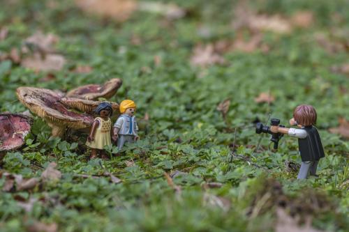 #29#l'automne au pays de lilliput