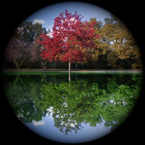 #6#automne hémisphère nord