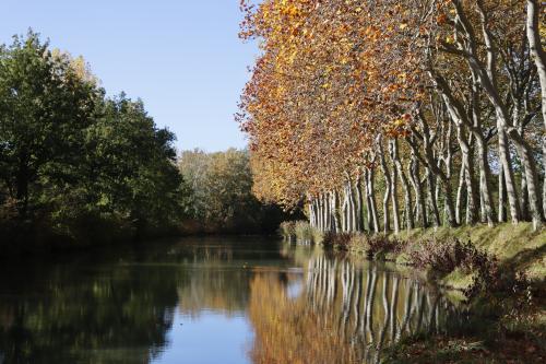 #9#l'été indien en lauragais